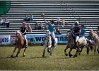 Pferd International 048